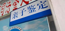 宁波迁户亲子鉴定电话查询