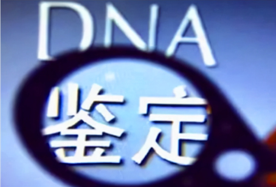 宁波体检中心DNA亲子鉴定预约办理,宁波权威血缘检测医院去哪