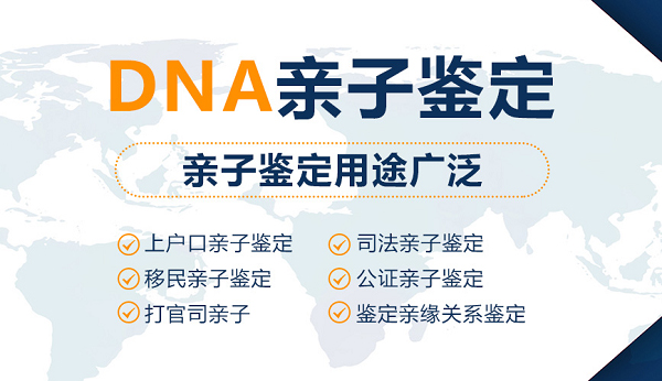 宁波私密亲子鉴定需要多少费用,宁波隐私亲子鉴定流程是什么