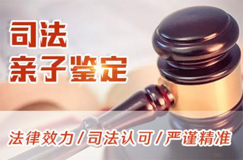 宁波司法亲子鉴定基本流程,