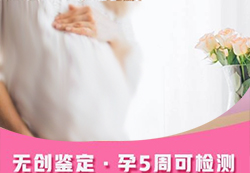 宁波刚怀孕要如何办理孕期亲子鉴定，宁波办理无创孕期亲子鉴定多少钱一次