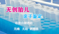 宁波怀孕了需要怎么办理DNA亲子鉴定