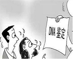 宁波司法亲子鉴定流程是怎样的，司法亲子鉴定采集哪些样本