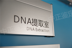 宁波产前亲子鉴定费用是多少钱(电话咨询)
