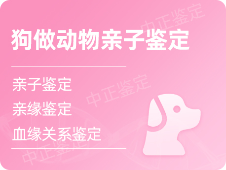 宁波狗做动物亲子鉴定