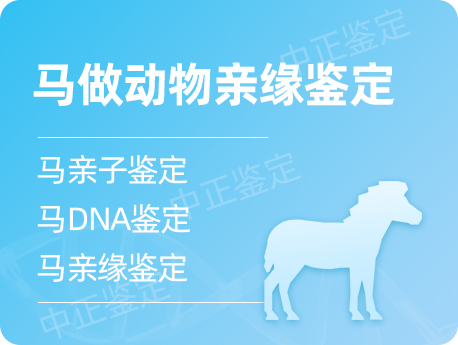 宁波马做动物亲缘鉴定