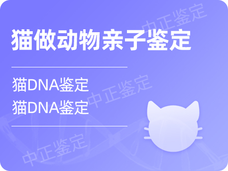 宁波猫做动物亲子鉴定