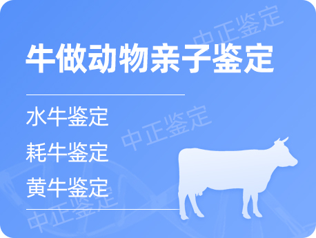 宁波牛做动物亲子鉴定